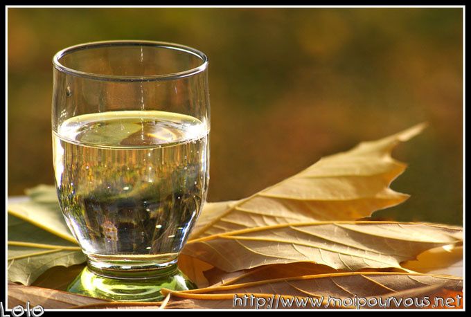 Album - photo-du-blog-11