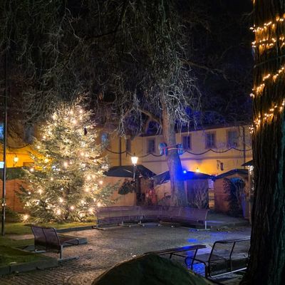 30. Altortweihnacht: Veitshöchheim feiert stimmungsvolle Adventstradition 