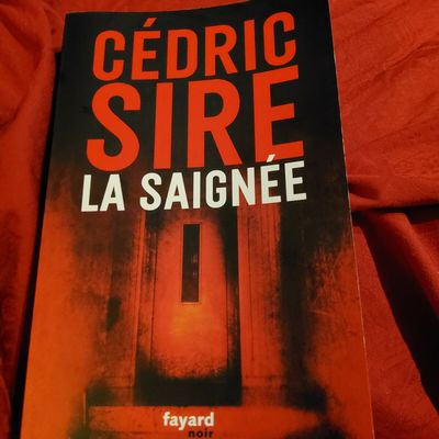 Avis sur "La saignée" de Cédric Sire