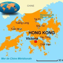Qui sont les "chemises noires" de Hong Kong ?