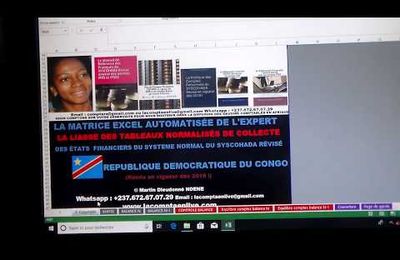 RÉPUBLIQUE DÉMOCRATIQUE DU CONGO (RDC) : RECEVEZ LA MATRICE EXCEL DE L'EXPERT SUR LA LIASSE COMPTABLE AUTOMATISÉE ANNEXÉE DE L'ETAT SUPPLÉMENTAIRE DE LA DGI