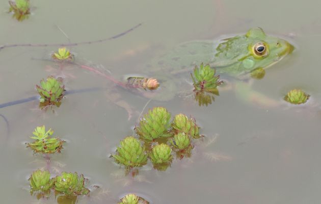 Encore du vent et quelques pluies