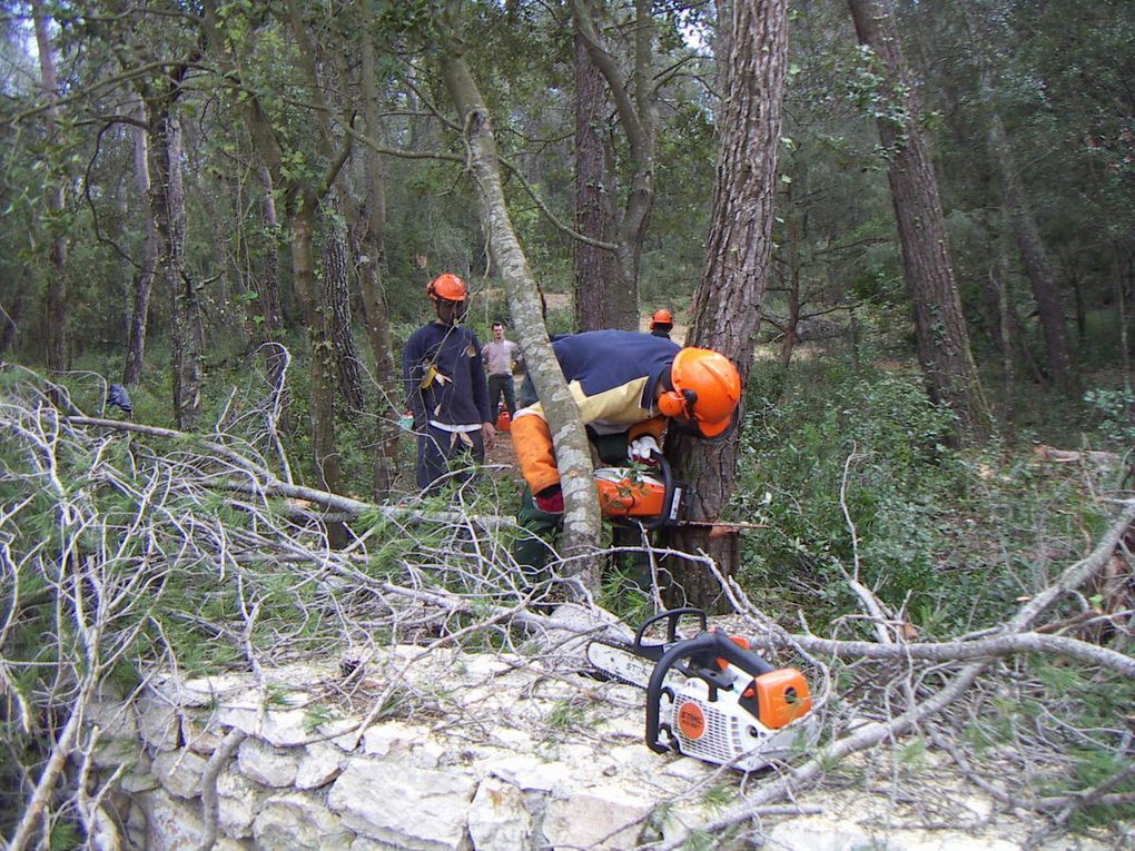 Ces photos ont été prises à Antibes dans une propriété pour passer la formation d'abattage.