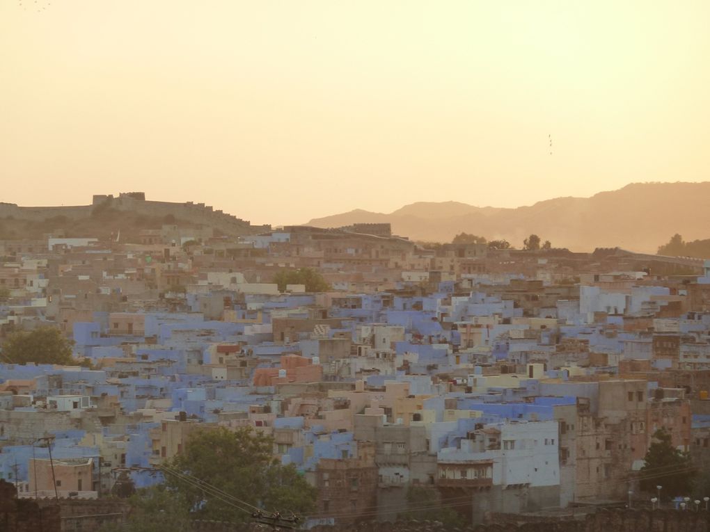 Album - Inde-Jodhpur