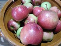 1 - Laver les pommes (les préférer du jardin ou bio si possible) et les couper en quartiers. Les passer à la centrifugeuse pour en extraire le jus. Verser le jus dans une casserole. Presser le citron. Incorporer le jus du citron dans la casserole ainsi que le sucre. Porter à ébullition sans cesser de remuer. Laisser cuire 5 mn. Ajouter le calvados puis l'agar agar. Maintenir à ébullition encore 3 mn tout en remuant. 
