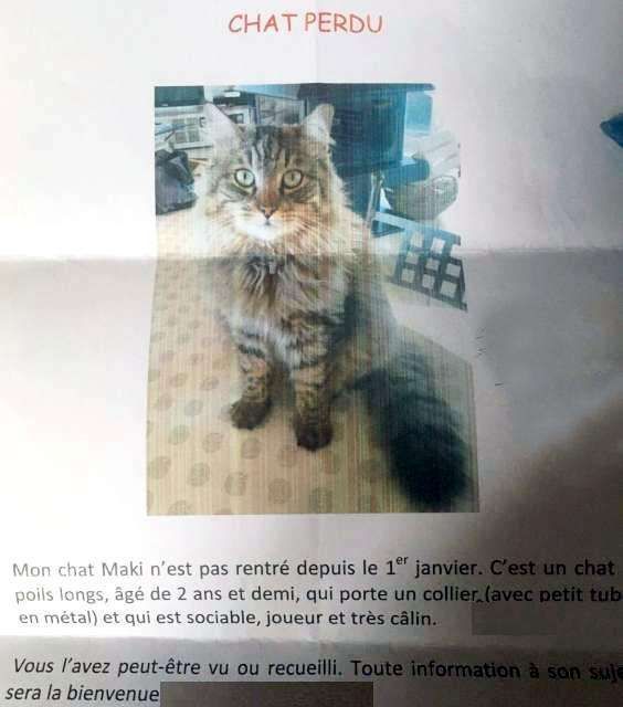 L Histoire Du Chat Parti Dans Le Maki Le Blog De L Association Sos Chats De L Hopital De Perpignan