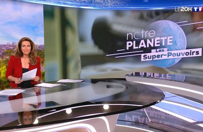 Anne-Claire Coudray Le 20H TF1 le 25.05.2024