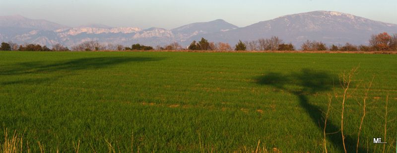 Album - Valensole-et-ses-environs