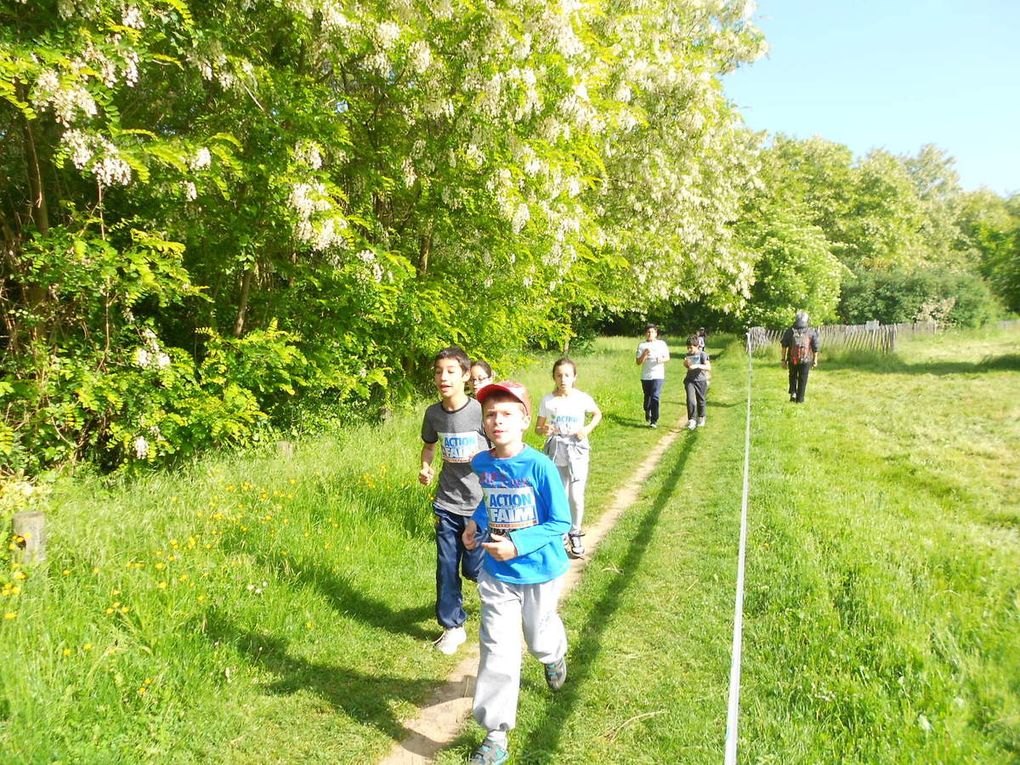 Course contre la faim 