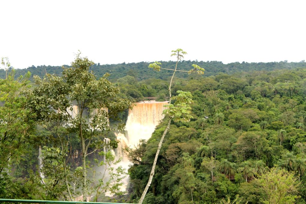 Chutes d'Iguaçu côté Brésilien superbe !!!