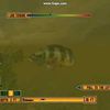 Rapala Pro Fishing [PS2]