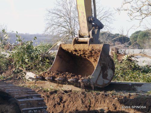 Album - begoux-lotissement-communal