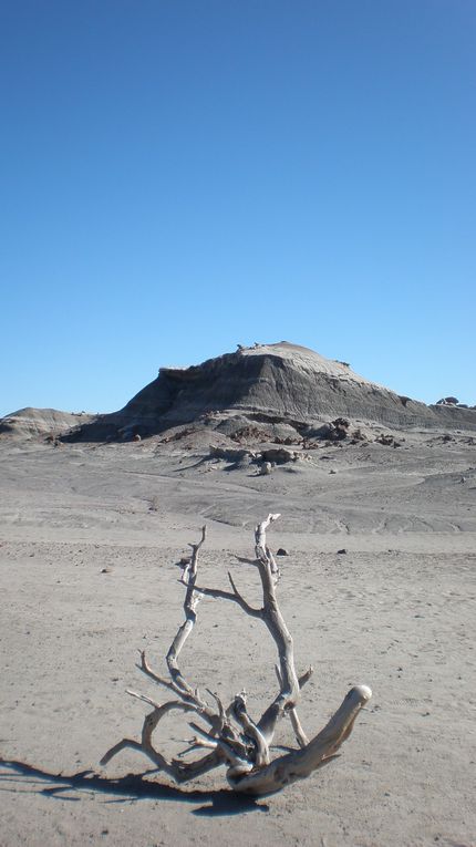 La Cordillère des Andes, et ses trésors de nature aux imposants paysages minéraux : l'Aconcagua, l'un des plus hauts sommets du monde, et les sites préhistoriques d'Ischigualasto et Talampaya, déserts de roches inscrits au patrimoine mondial de