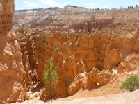 Bryce Canyon - Trail Navajo Loop