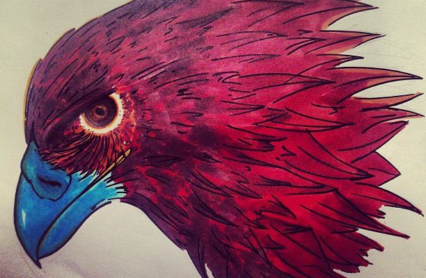#Eagle..  #drawing #draw #pencil #animal #sketch #doodle #red #brow #blue #love #favorite #instagood #art #comics