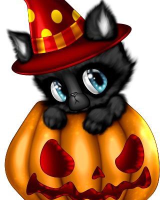 Chat - Citrouille - Halloween - Picture - Free