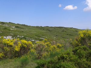 Balade sur les collines de la Moure à Montbazin (34)