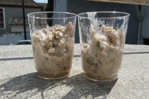 Rillettes de thon à l'estragon