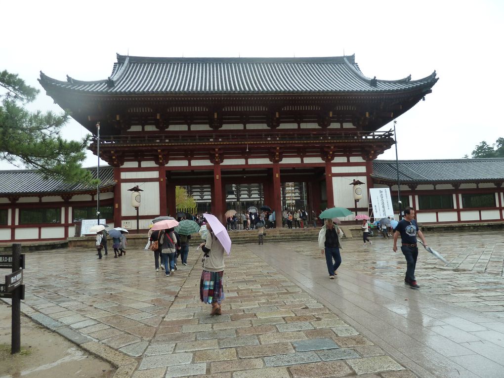 Nara sous la pluie avec Karin