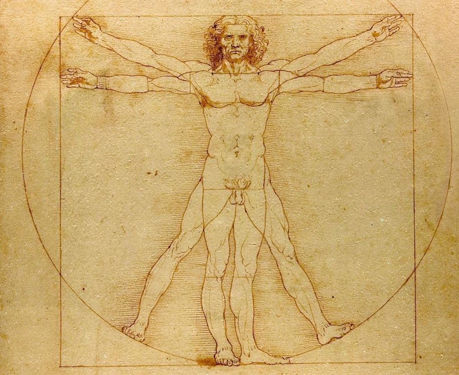 Léonard De Vinci (1452-1519)