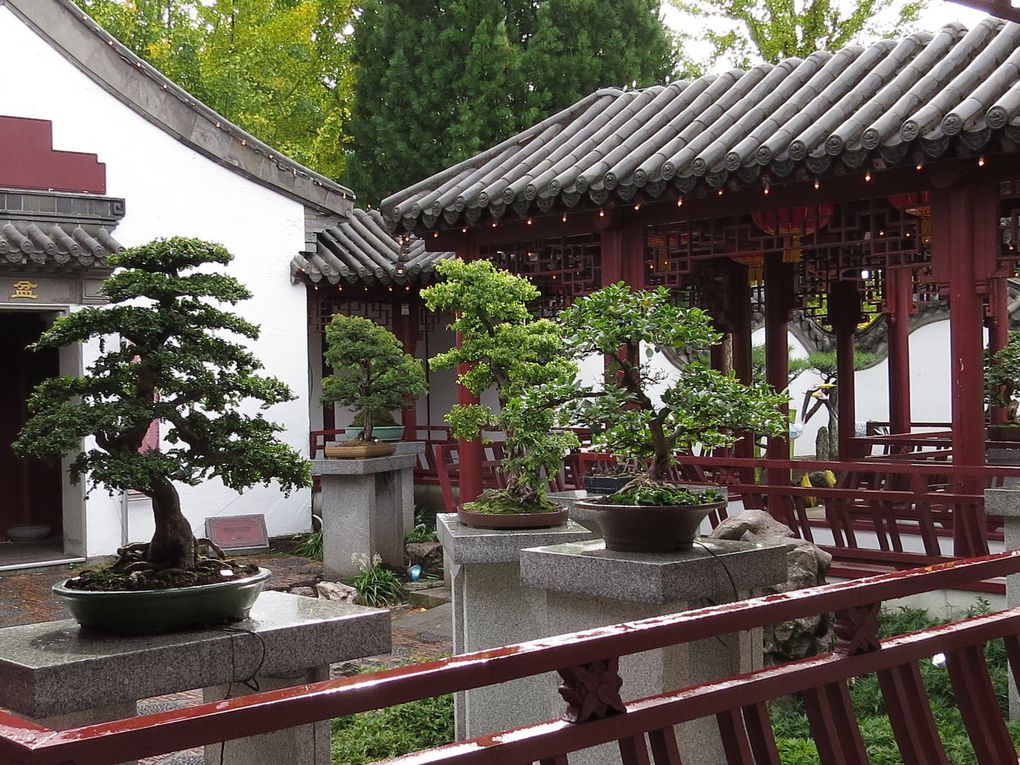 LE JARDIN CHINOIS .......