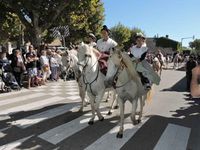 Mouriès, Fête des Olives vertes 3/6