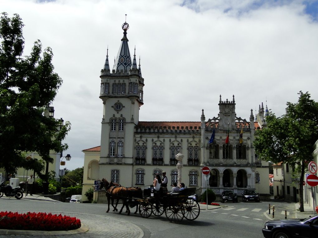 Portugal 2019 J5-Obidos-Sintra