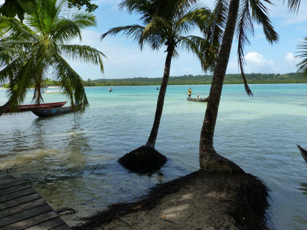 L'île de Sainte-Marie, ses baleines, ses histoires de Pirates, ses cocotiers...