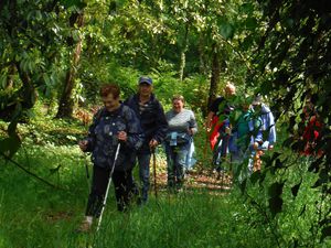 Notre entrée dans la forêt privée de Paimpont