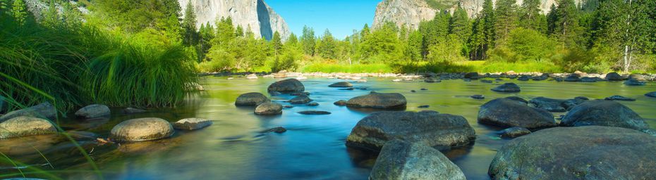 USA: un deuxième touriste touché par la peste après une visite au Yosemite