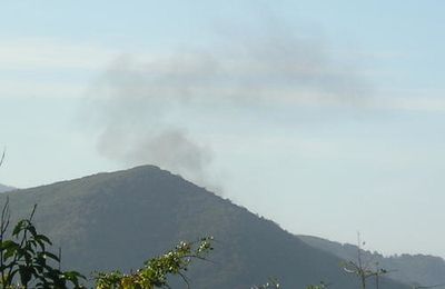 GUADELOUPE : L'EPREUVE DE FORCE