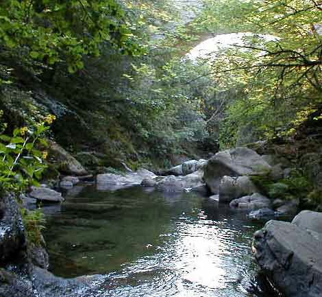 Album - photos-de-CORSE