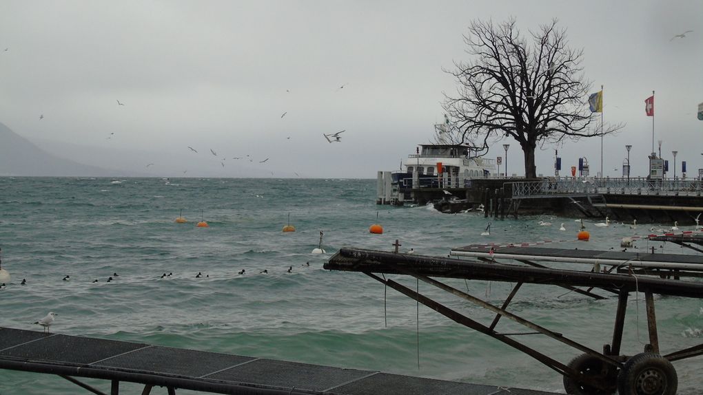DIAPORAMA - Le Léman - Vevey - La Tour de Peilz 