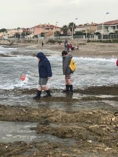 La pêche à pied