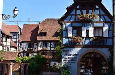 L'Alsace : Route des Vins