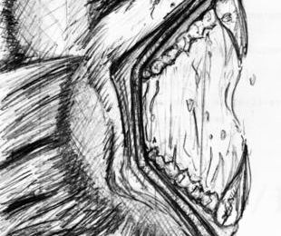 Sketch : Beast Yell