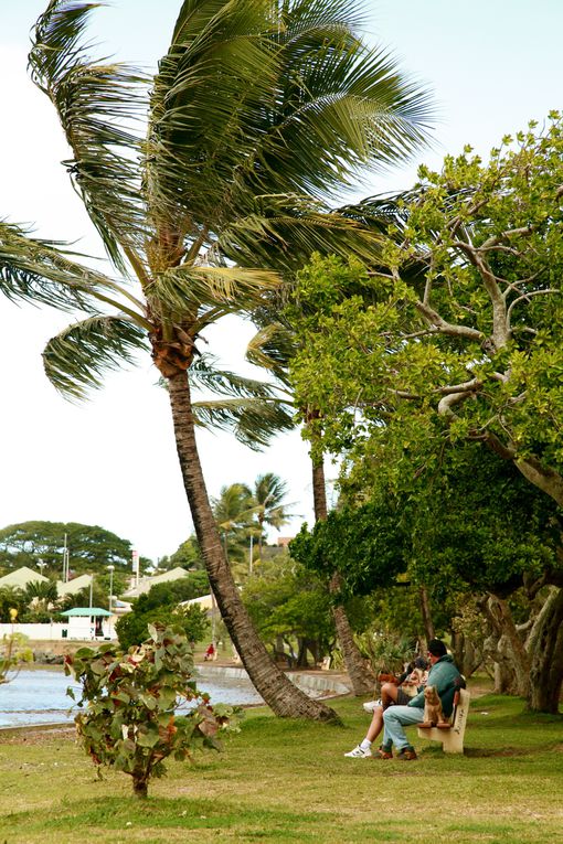 Album - Noumea