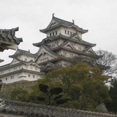 Himeji, le château du héron blanc