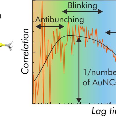 Unveiling the photoluminescence dynamics of gold nanoclusters with FCS and FLCS