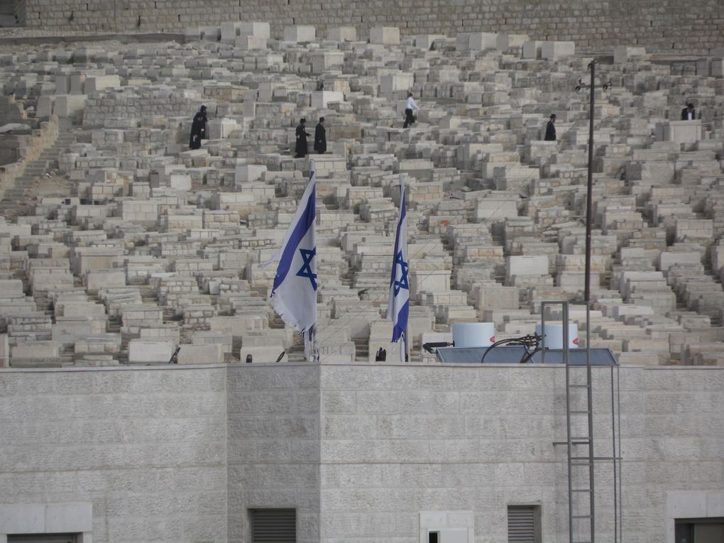 Jérusalem, Hebron, Aïda,Kalandia, Silouane... colonies, Résistance...