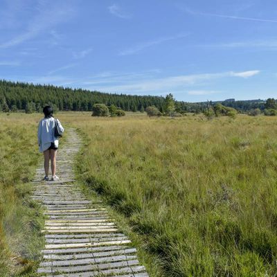 La Tourbière du Longeyroux à Saint-Merd les Oussines en Corrèze