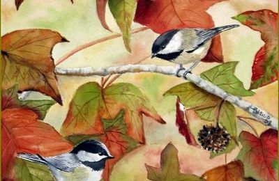 Oiseaux en peinture, 1er Novembre, Balades Comtoises