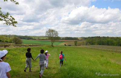 La Photo du Jour -  🎶🎵 3 mai 2020