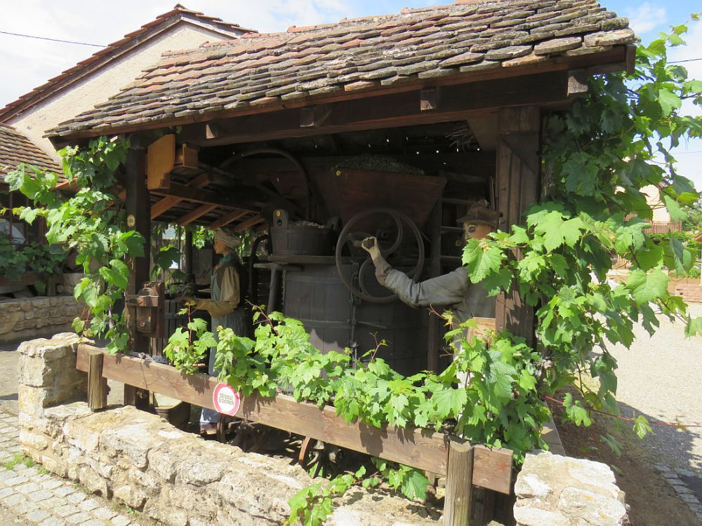 MITTELBERGHEIM "Un des plus beaux villages de France" de la route des vins