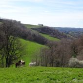 Parcours VTT balisé n°6 noir au départ de Cransac (12) le 30/03/2025 - VTT a 2