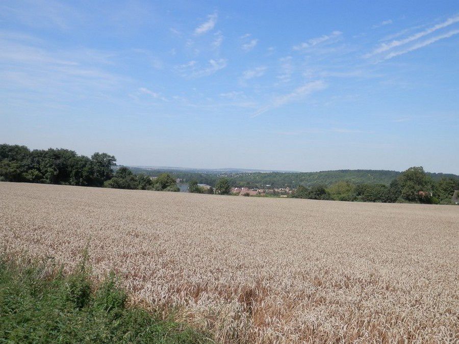 Le 31-07-14-St Germain sur Morin