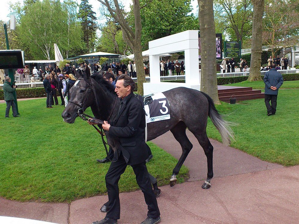 Album - 20120429-LONGCHAMP