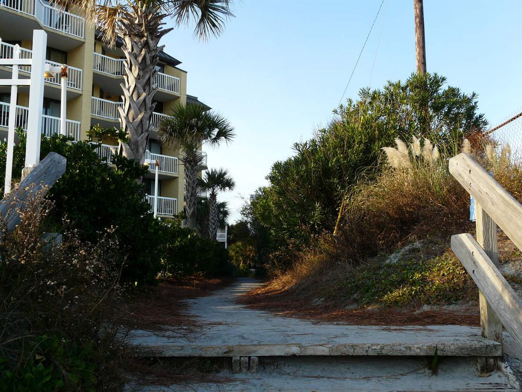 Folly Beach