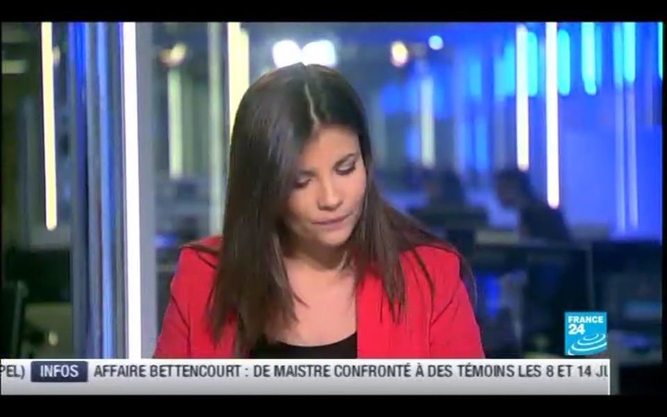 [2012 06 06] ELISABETH ALLAIN - FRANCE 24 - PARIS DIRECT @06H35