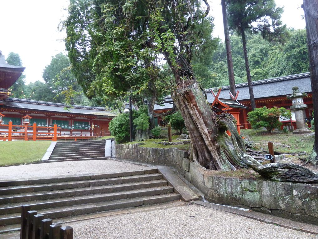 Nara sous la pluie avec Karin